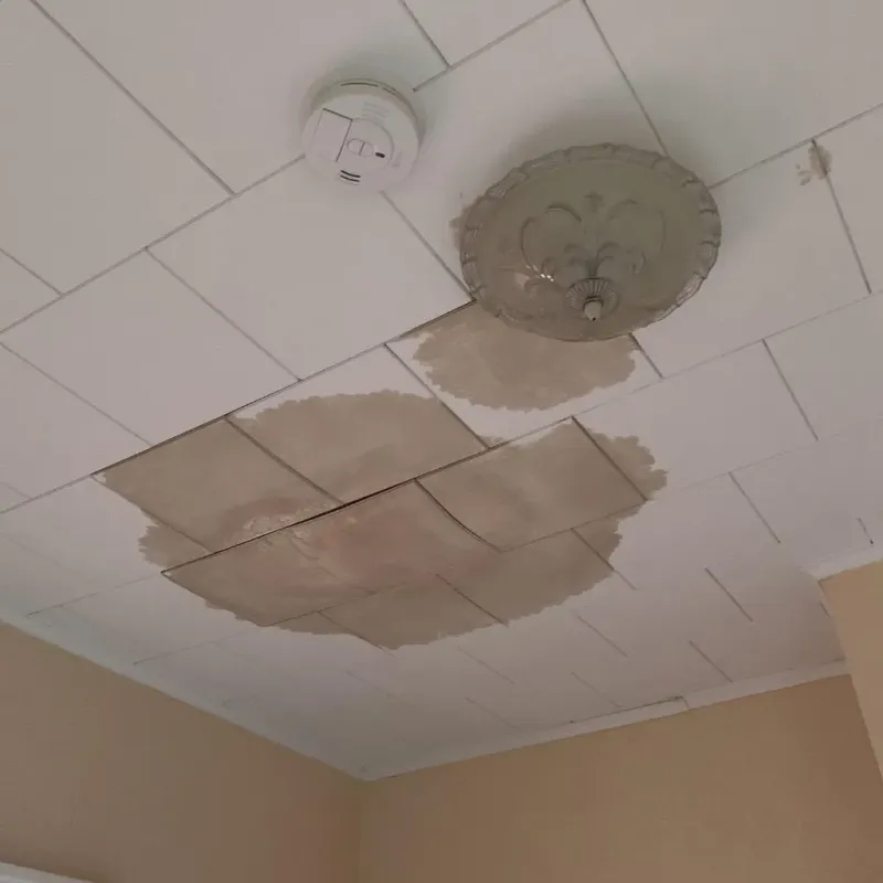 Ceiling Water Damage Repair in Warren Park, IN