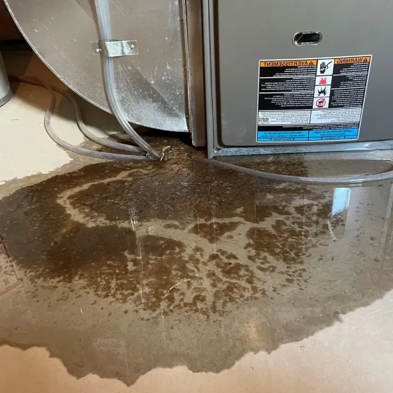 Pipe Burst and Leak Restoration in Warren Park, IN