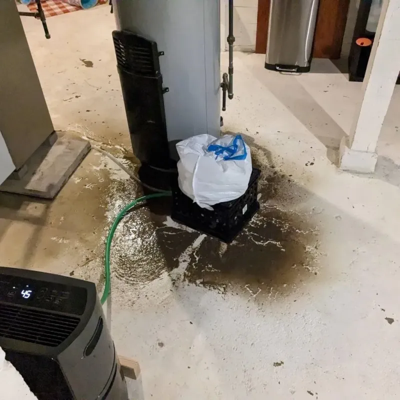 Sewage Backup Cleanup Service in Warren Park, IN